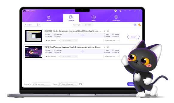 hitpaw video converter interface